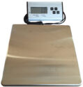 cheap scale