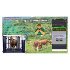 Livestock Scale Kit Wireless Livestock Scale Kit